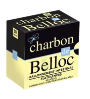 Charbon De Belloc 125 Mg Caps Molle B/60 à OULLINS